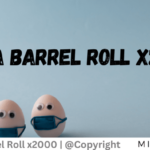 do a barrel roll x2000