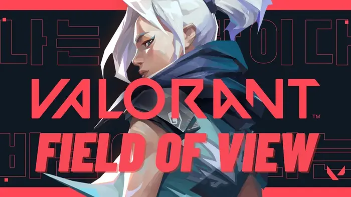 How FOV Functions in Valorant