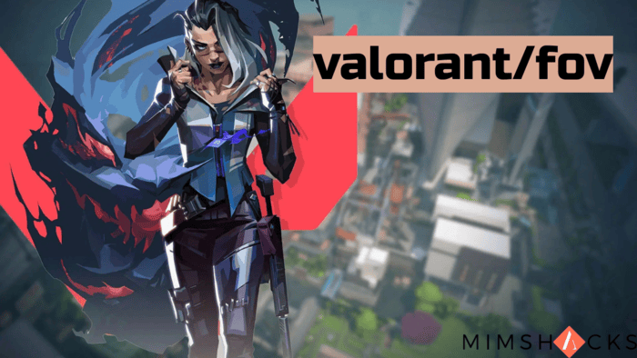 valorantfov