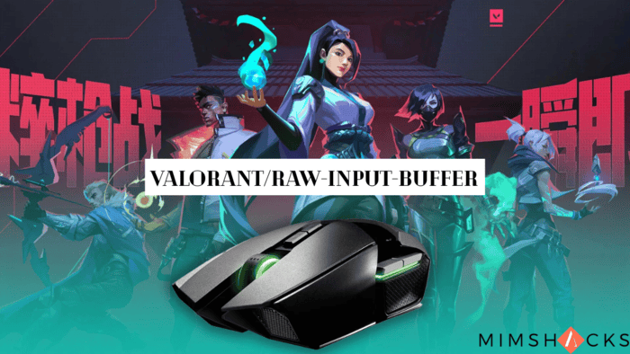 valorantraw-input-buffer