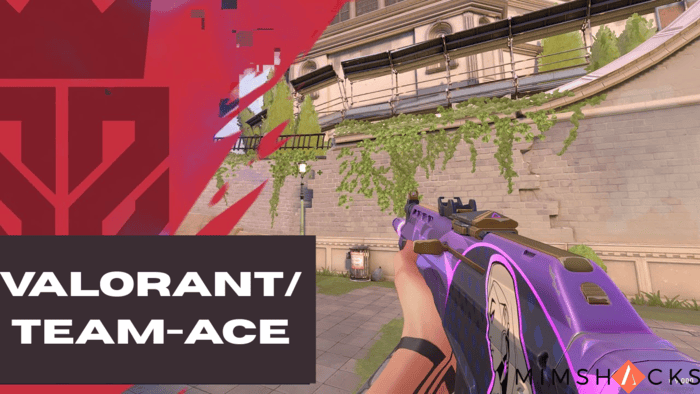 valorantteam-ace
