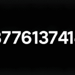 8776137414