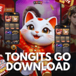 Tongits Go Download APK Guide